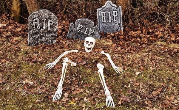 How to decorate your home and business premises for Halloween