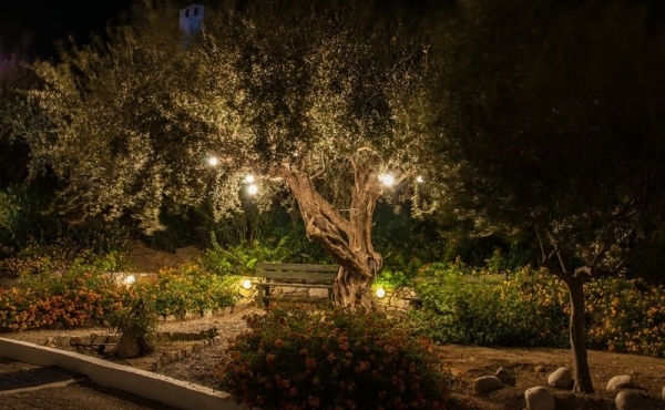 Alcune note preliminari sull’illuminazione degli alberi