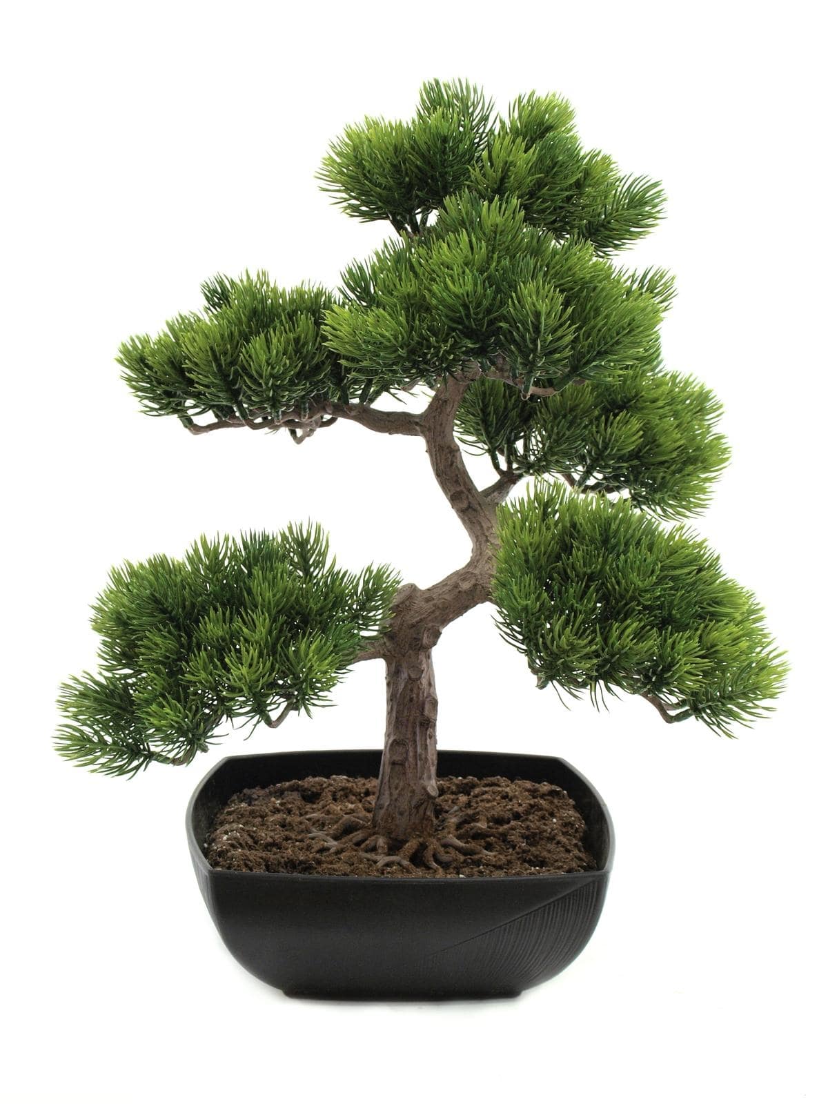 Decorazione Pino bonsai artificiale in vaso h 50 cm