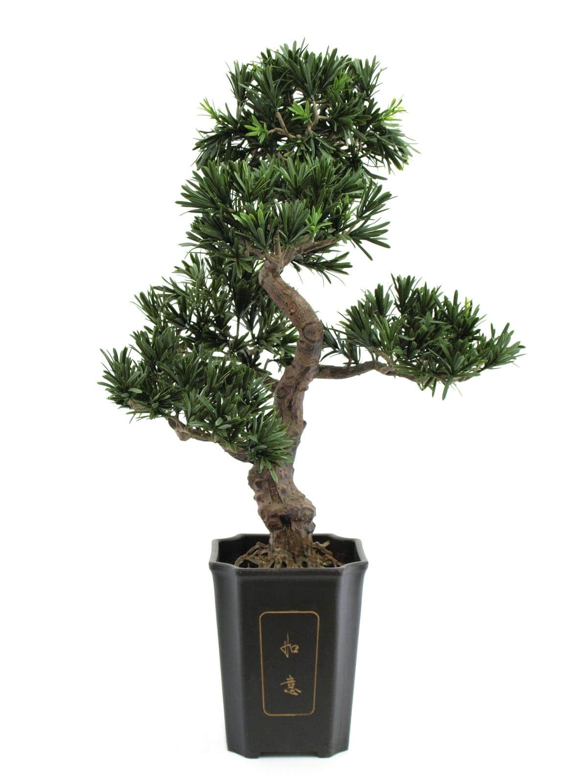 Decorazione Podocarpus bonsai artificiale 80 cm
