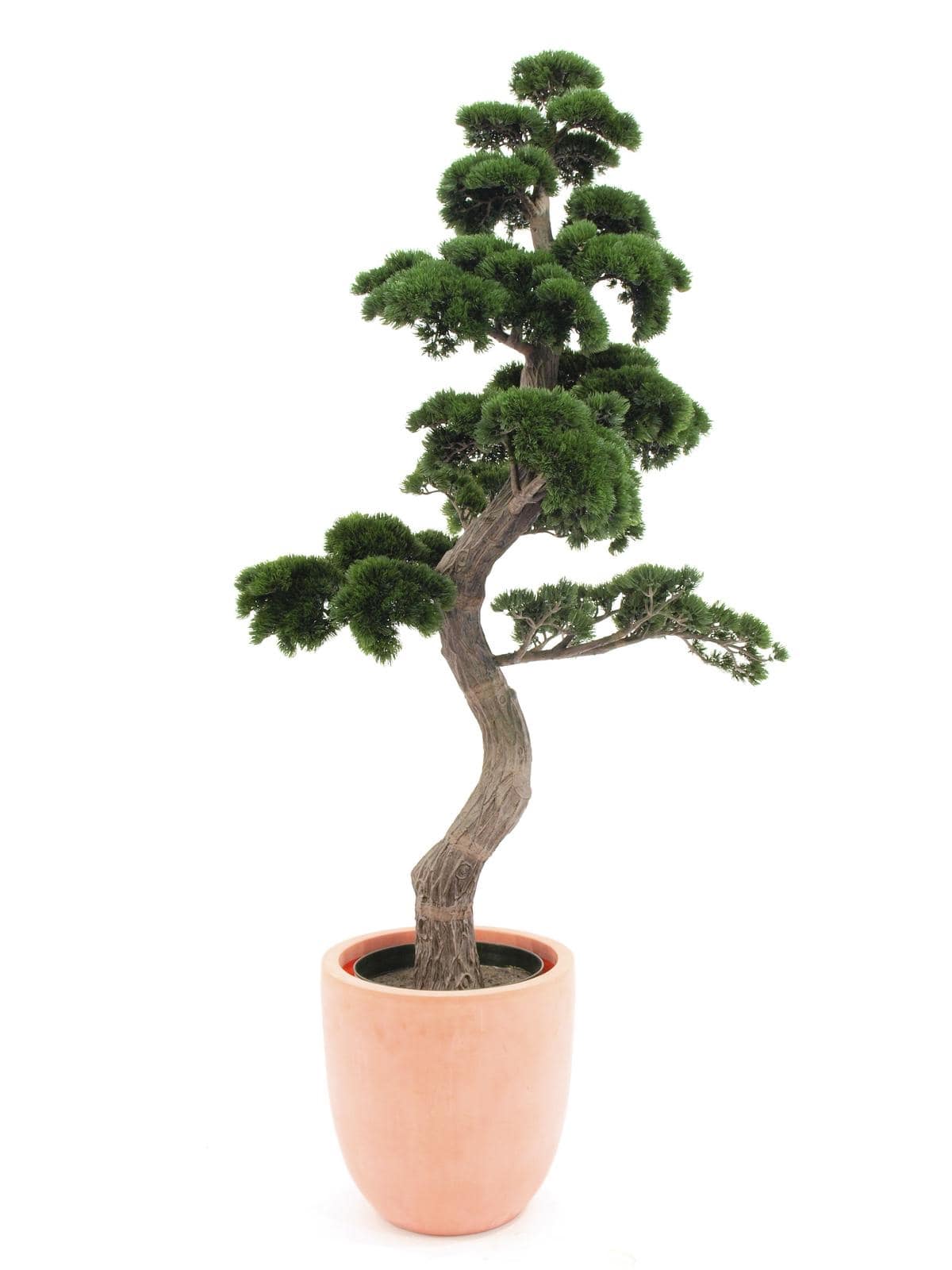 Decorazione Pino bonsai artificiale h 168 cm, Arredo e decorazioni
