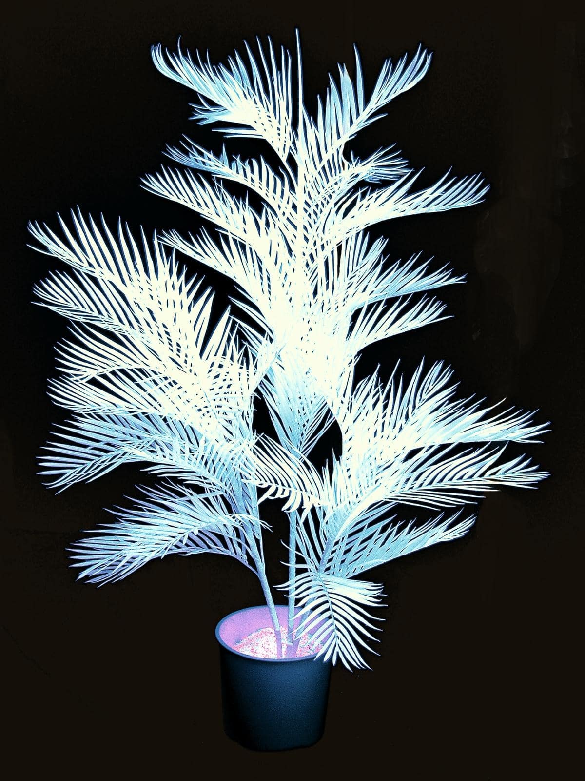 Pianta Kentia artificiale fluorescente UV luce wood bianca 170cm