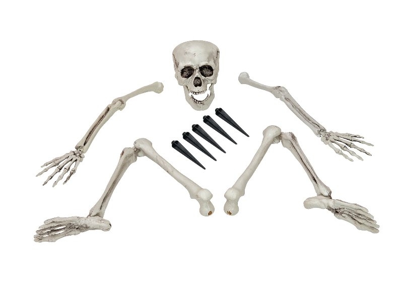 Scheletro Halloween ossa + teschio