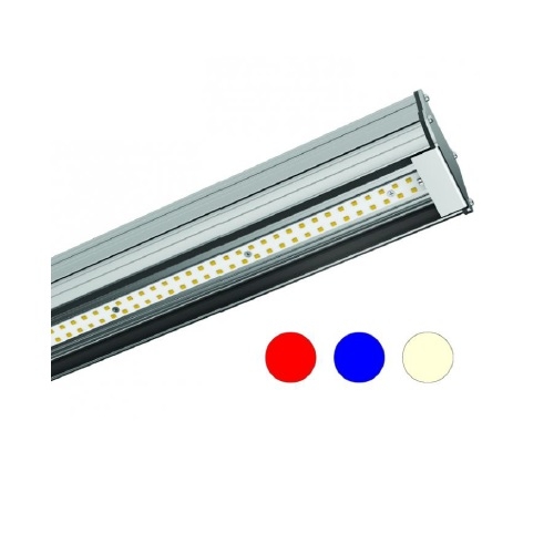 Gilbert 1000 CR VETRO 80W led blu IP54 STALLA