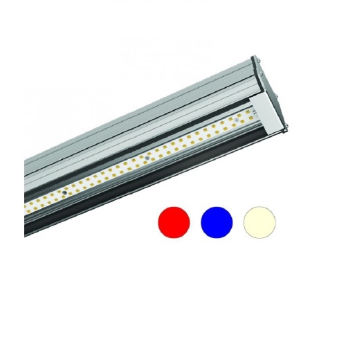 Gilbert 1000 CR VETRO 80W 4000k IP54