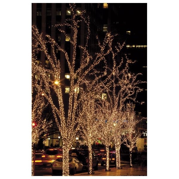 Catena luci led Twinkle calde 200 LEDS 20m distanza LED 10cm con controller