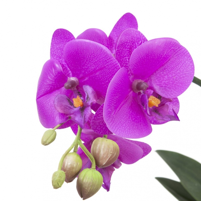 Decorazione orchidea rosa artificiale in vaso nero