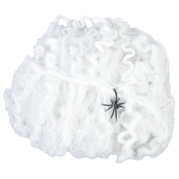 83314008a-ragnatela-ragno-spider-web-bianca-white-2-568880.jpg
