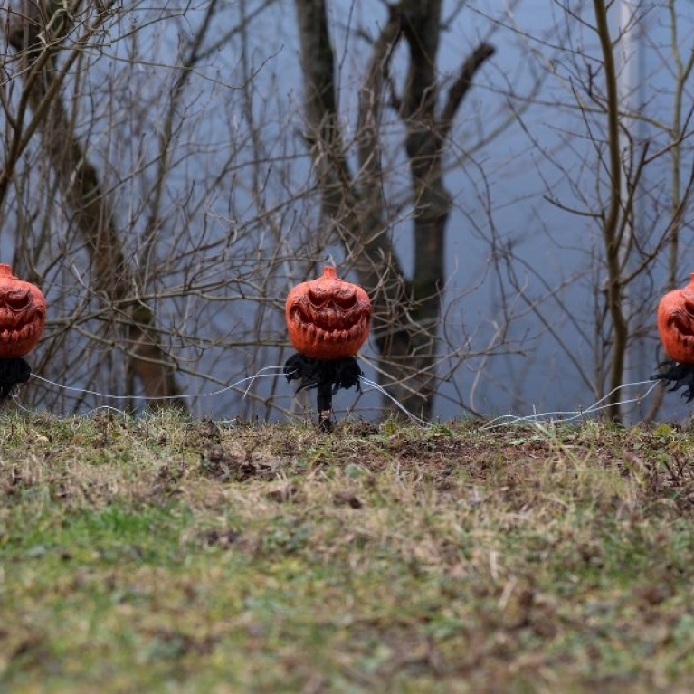 Set 3x zucche Halloween da giardino con picchetto