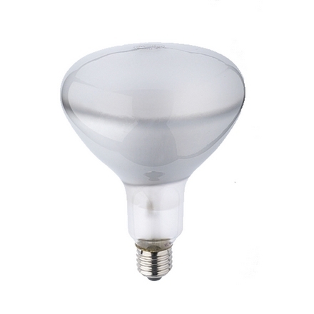 PF318 DR.FISCHER 500W 230V-240V  E27 ARGAPHOTO 100 ORE